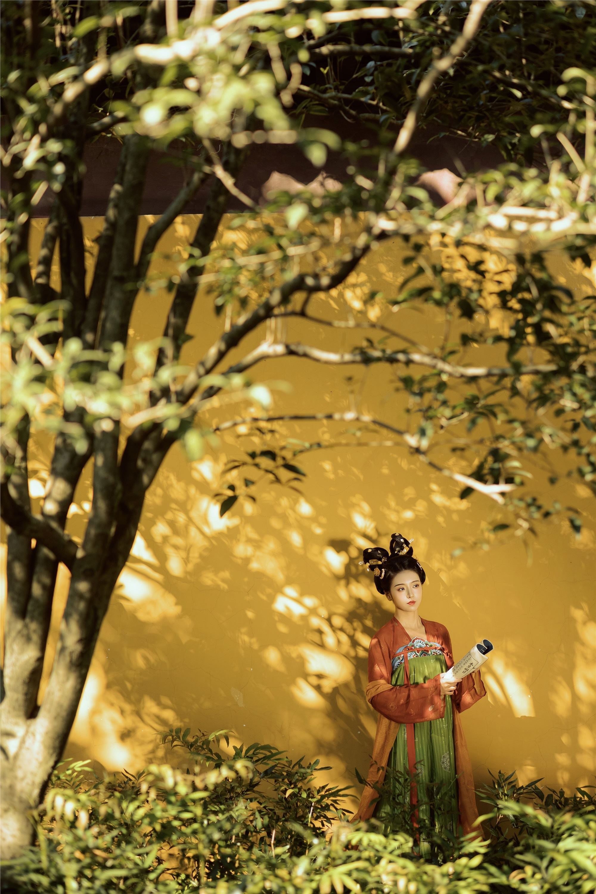 YITUYU艺图语 2025.01.14 悭晚秋 墨律